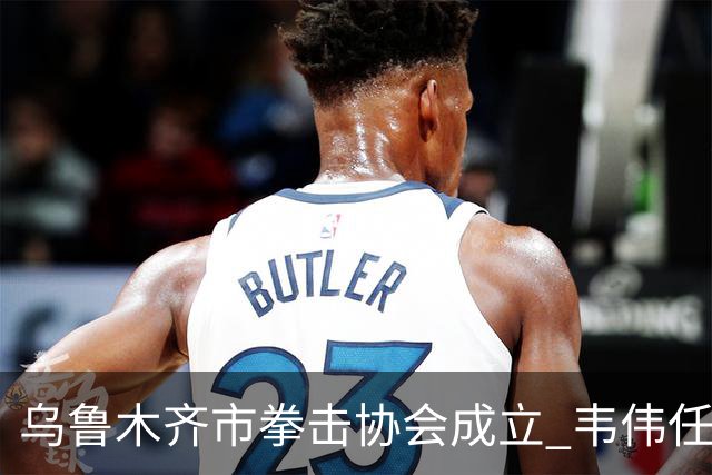 乌鲁木齐市拳击协会成立 韦伟任会长